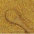 Chinese Yellow White Broomcorn Millet With Cheap Price